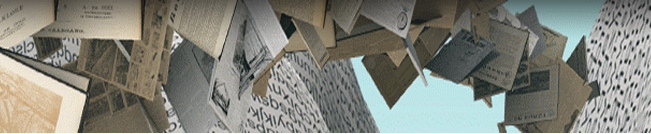 Delpher banner